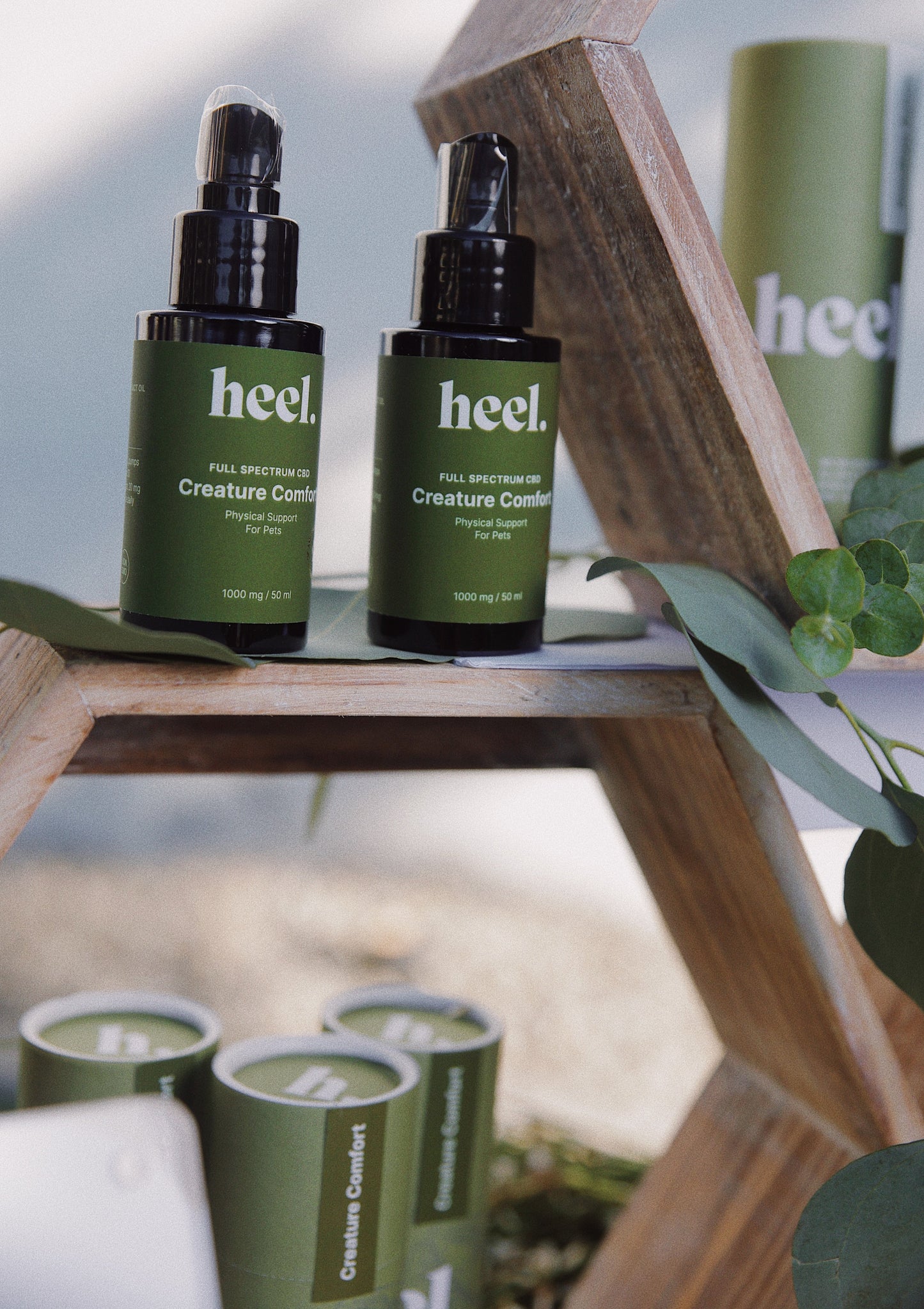 Creature Comfort | Physical Support for Pets