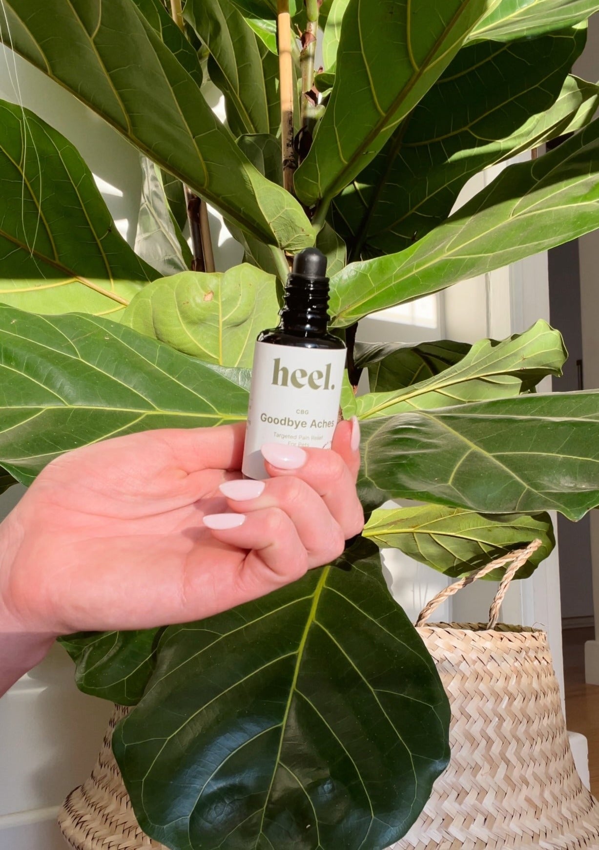 Goodbye Aches | Topical Pain Relief for Pets