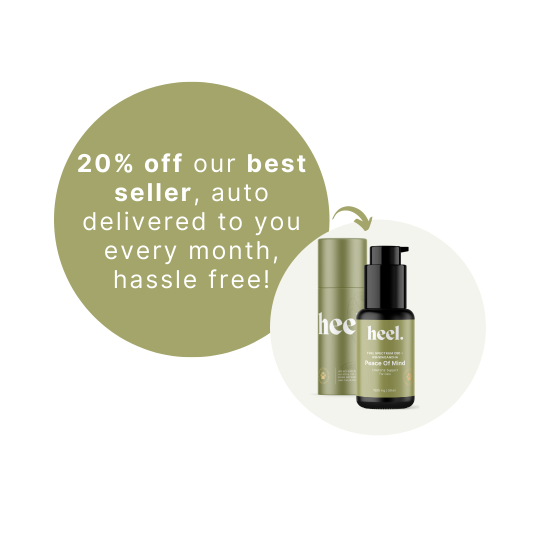 The Heel Method Bundle