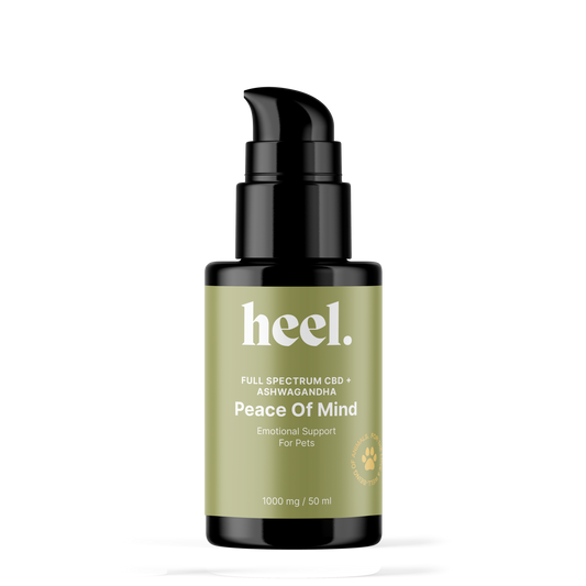 Peace of Mind | Seizure + Emotional Support for Pets