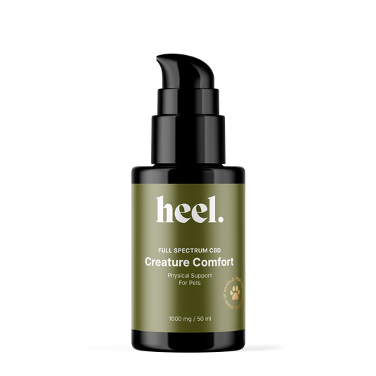 Creature Comfort | Physical Support for Pets