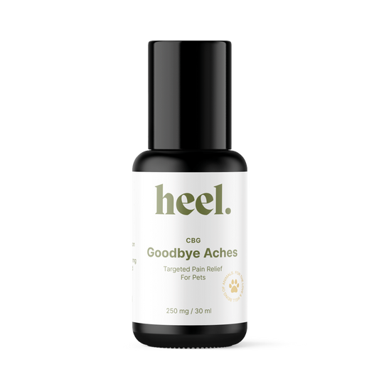 Full Spectrum CBG roller for Pets